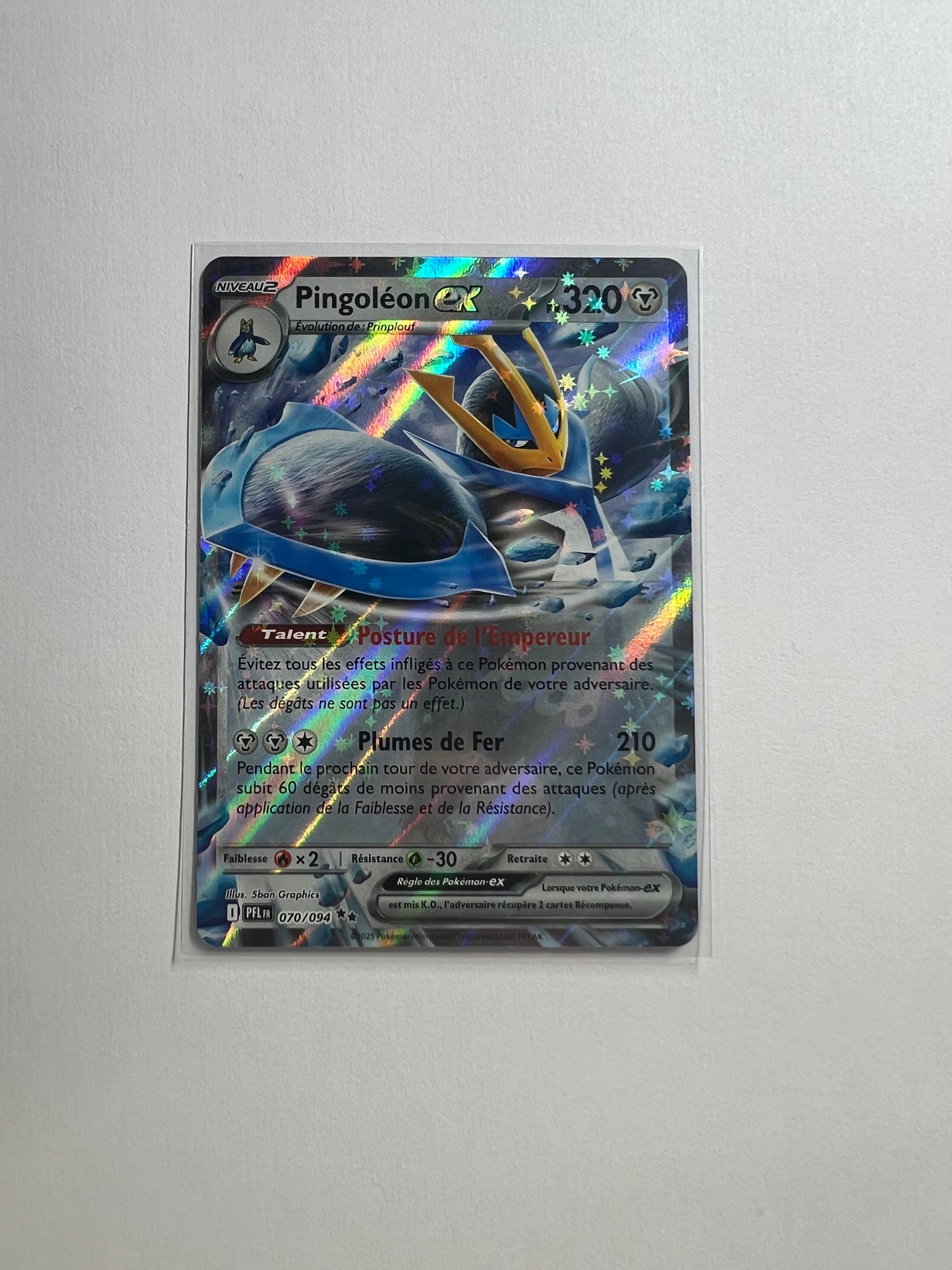 Pongoléon 070/094 🇫🇷